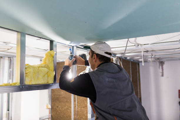 Best Geographic-Specific Insulation Services in Cody, WY